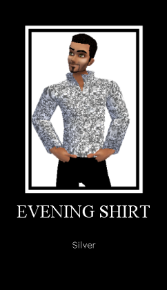 Silver Evening Shirt