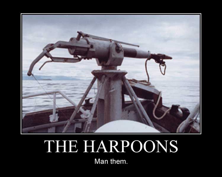 the_harpoons.jpg