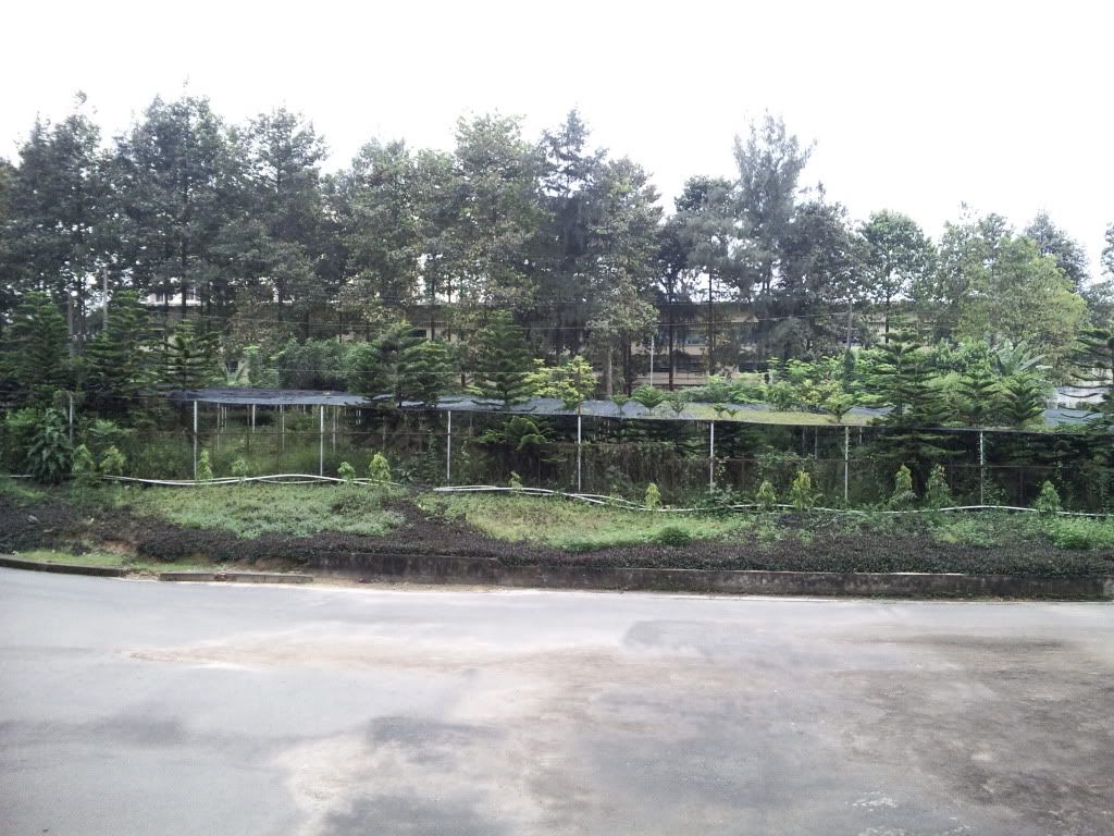 topic về những hình ảnh chụp bằng điện thoại di động - 12