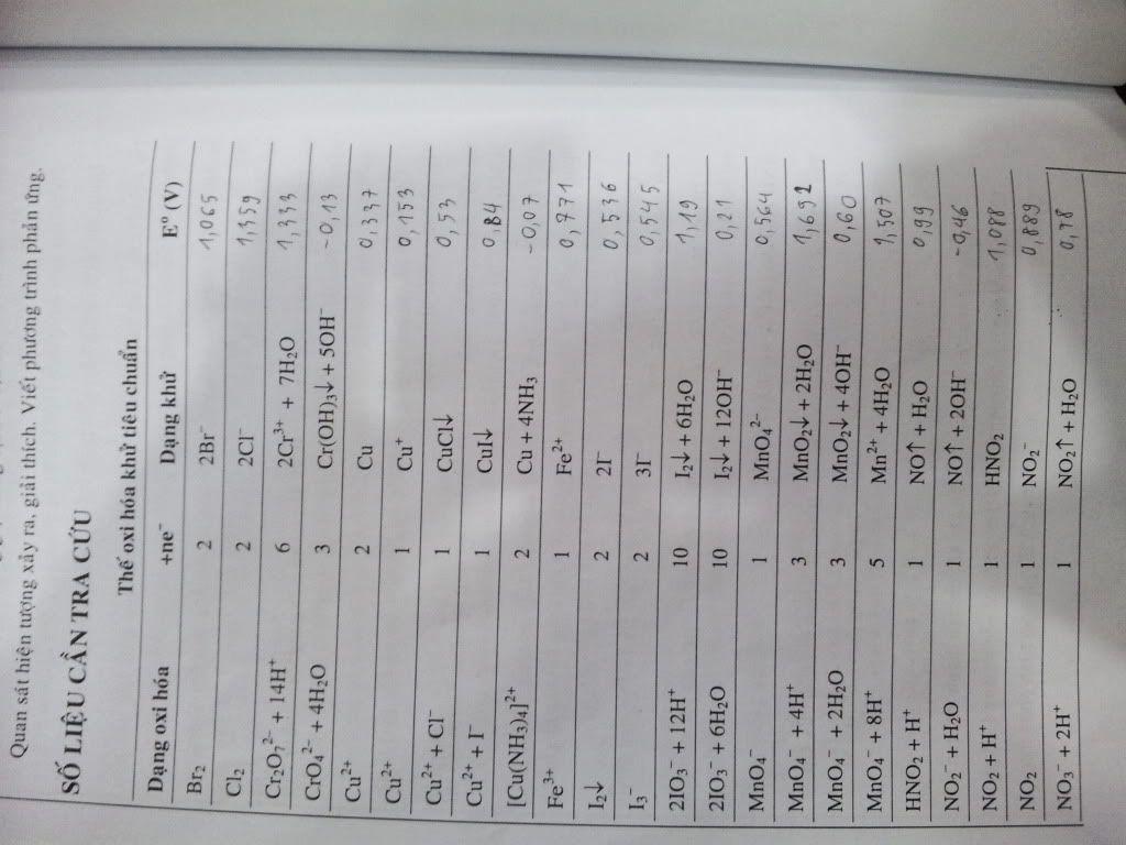 topic về những hình ảnh chụp bằng điện thoại di động - 13