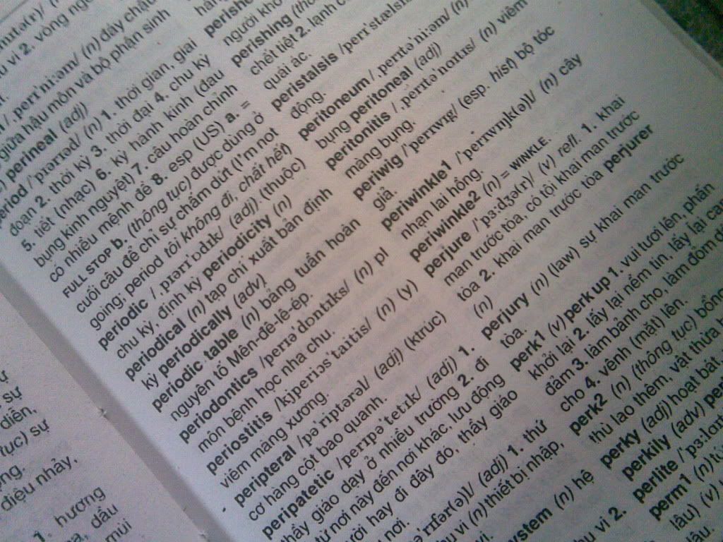 topic về những hình ảnh chụp bằng điện thoại di động - 11