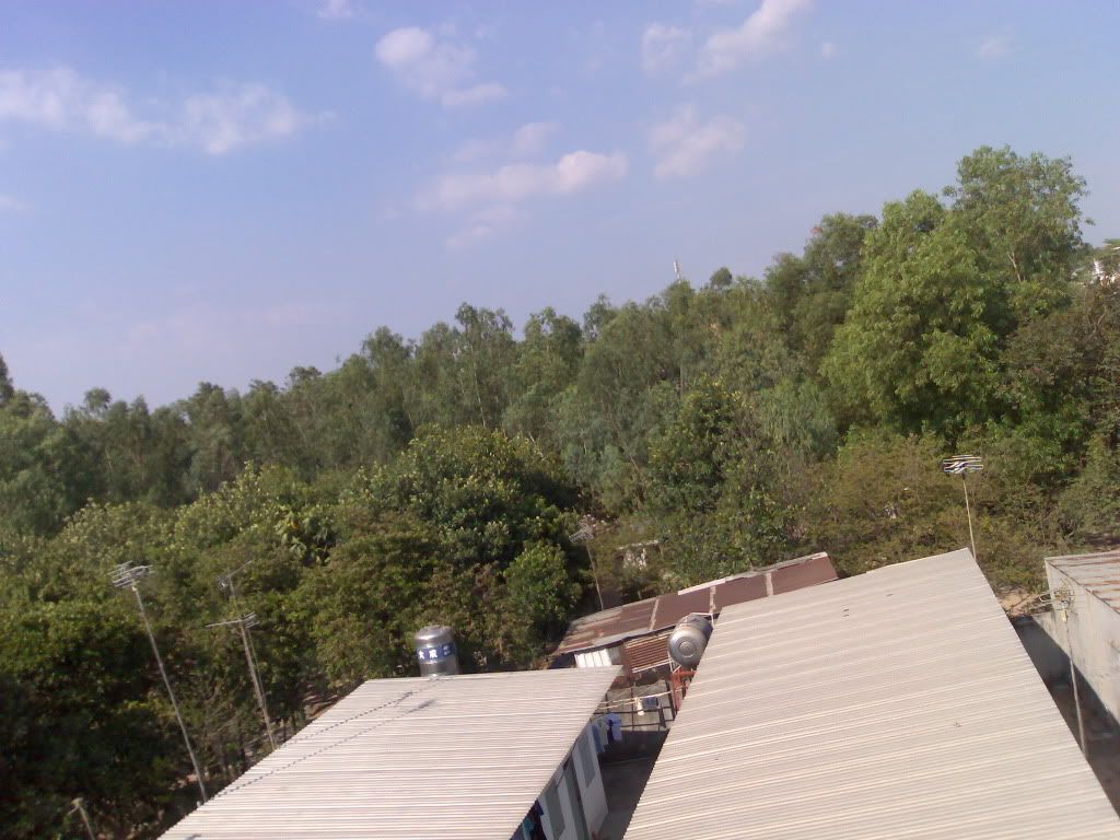 topic về những hình ảnh chụp bằng điện thoại di động - 5