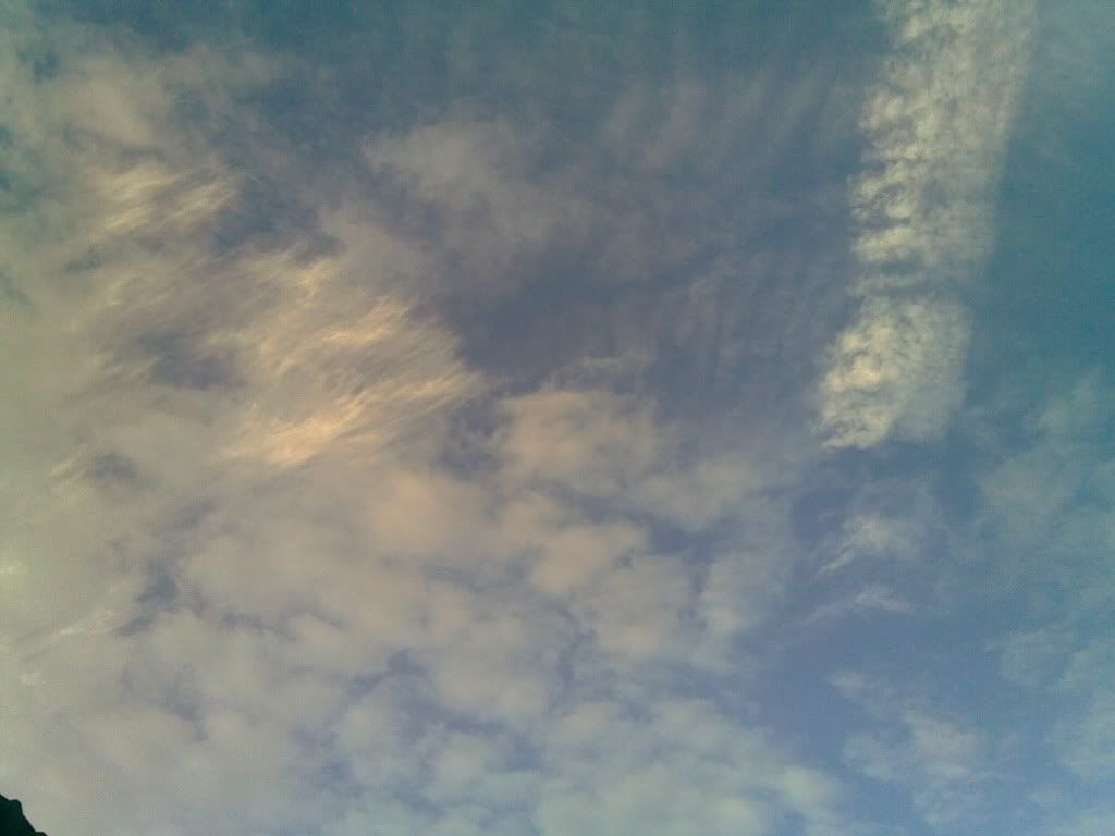 topic về những hình ảnh chụp bằng điện thoại di động