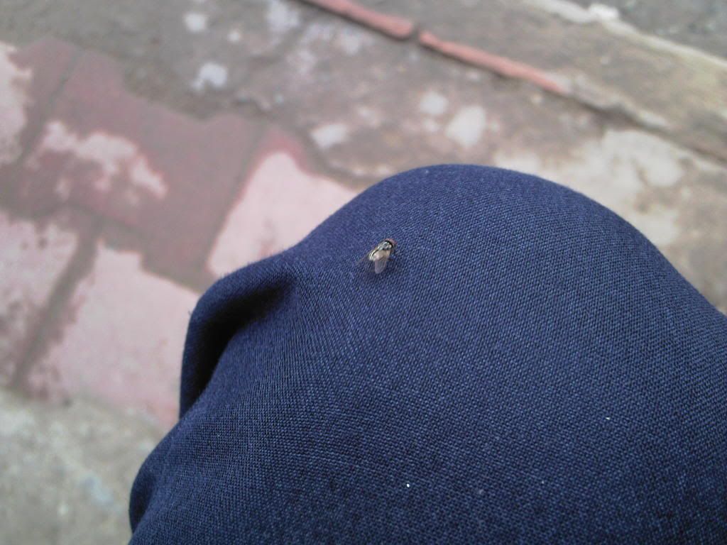 topic về những hình ảnh chụp bằng điện thoại di động - 2