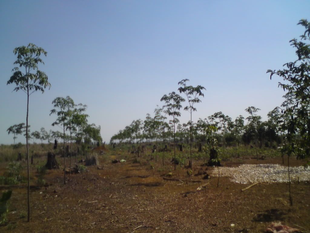 topic về những hình ảnh chụp bằng điện thoại di động - 21