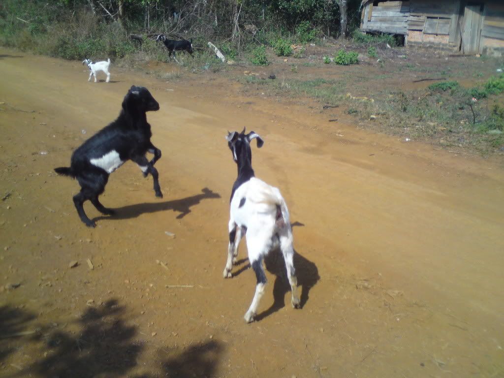 topic về những hình ảnh chụp bằng điện thoại di động - 25