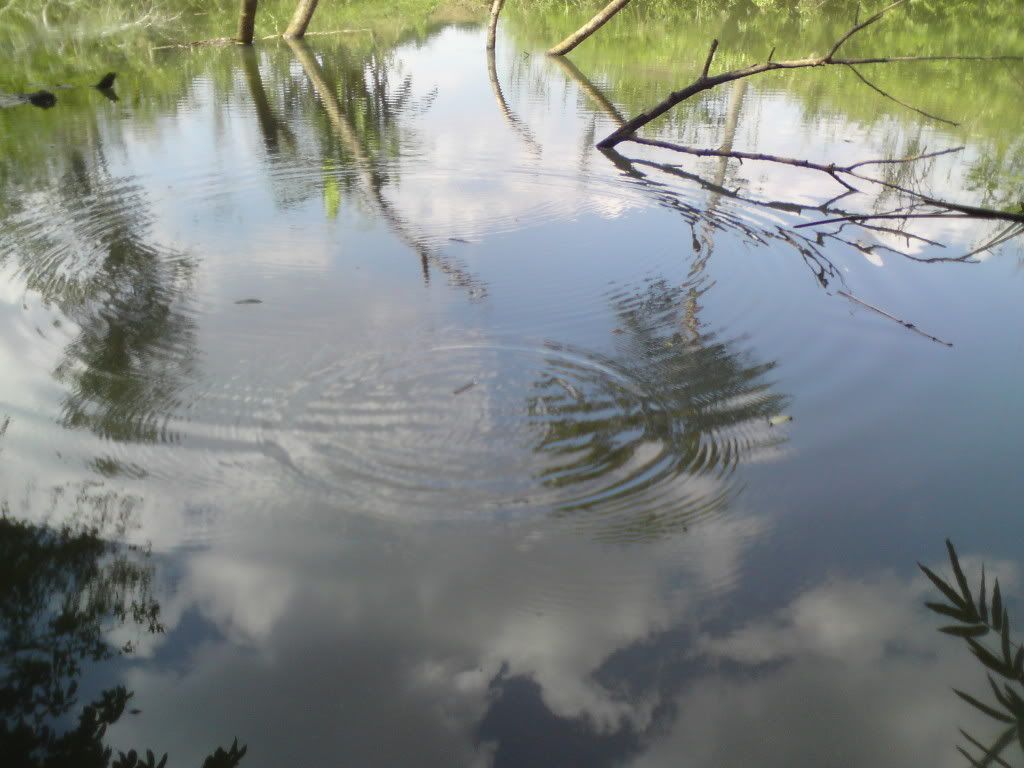 topic về những hình ảnh chụp bằng điện thoại di động - 18