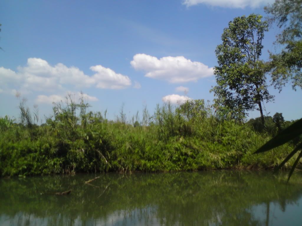 topic về những hình ảnh chụp bằng điện thoại di động - 19