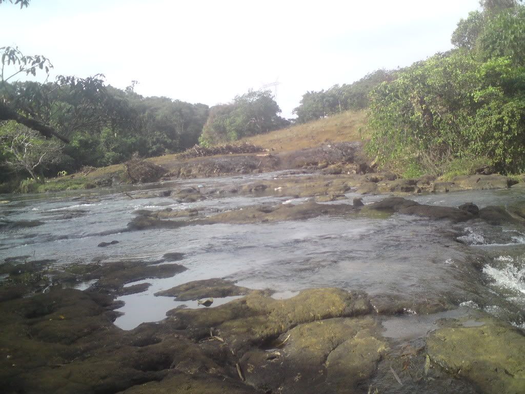 topic về những hình ảnh chụp bằng điện thoại di động - 15