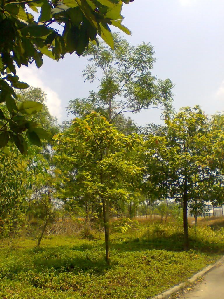 topic về những hình ảnh chụp bằng điện thoại di động - 26