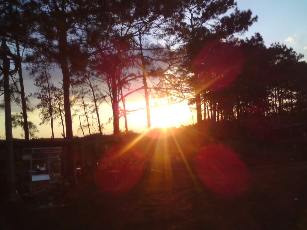 topic về những hình ảnh chụp bằng điện thoại di động - 23