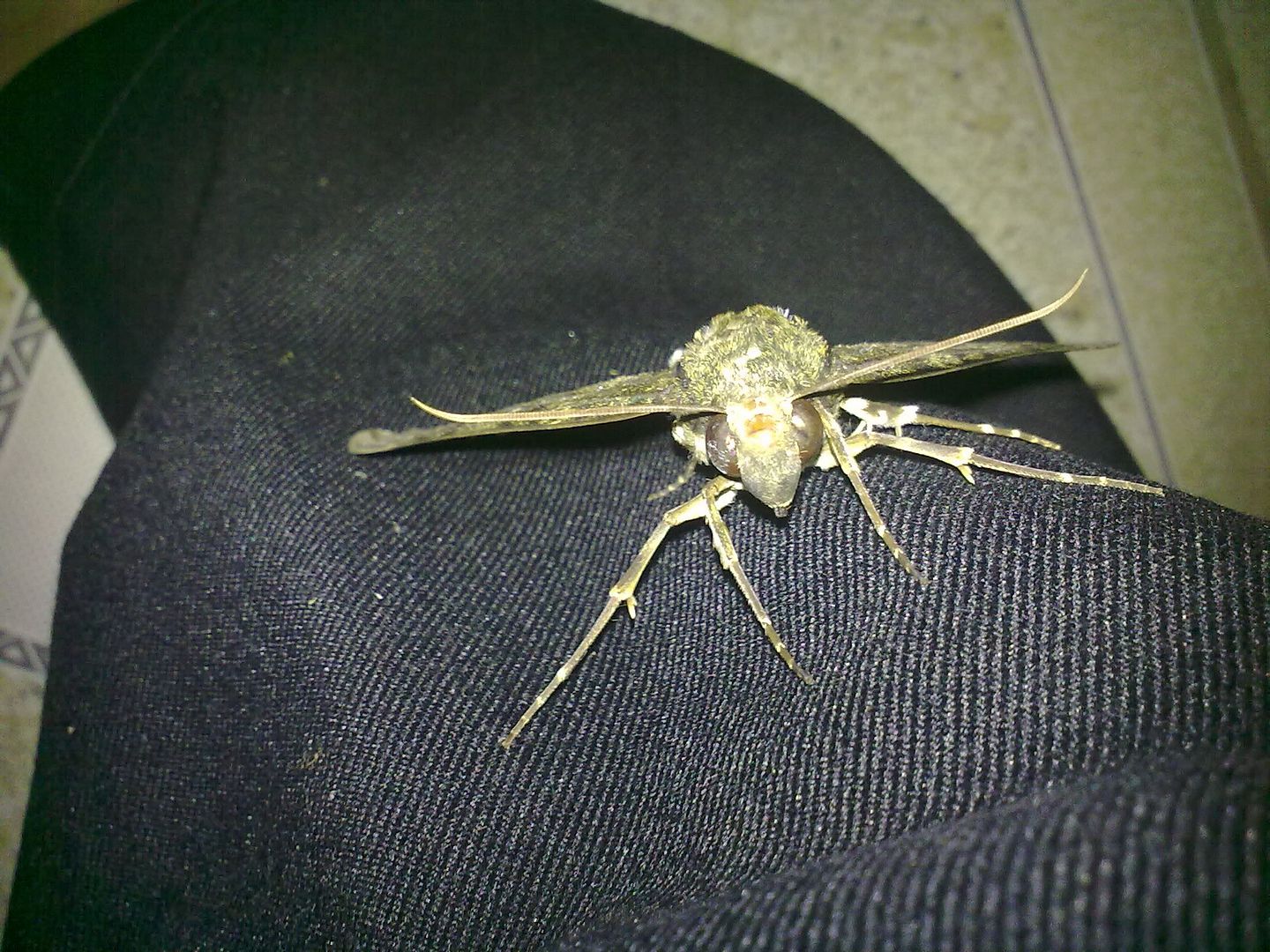 topic về những hình ảnh chụp bằng điện thoại di động