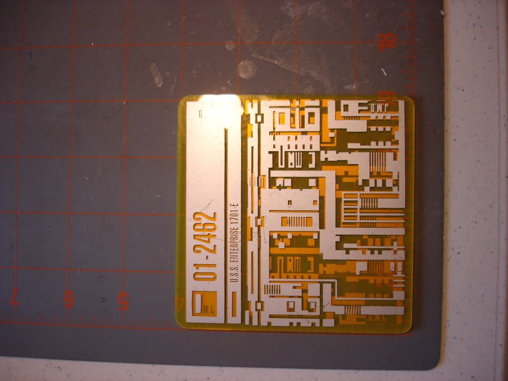 DSC06494.jpg