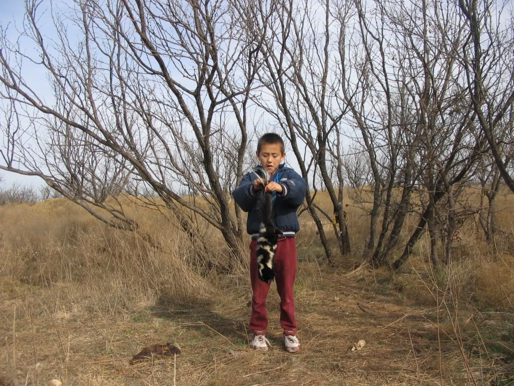 Skunk Scent.... Texas Hunting Forum