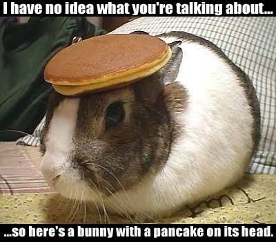 jokes funny. jokes-funny-bunny-pancake.jpg
