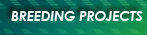 BreedingProjects.png