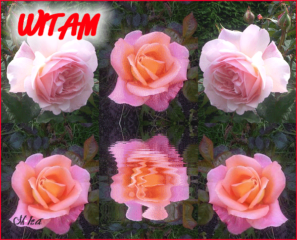  photo 3_zps3ff7440e.gif