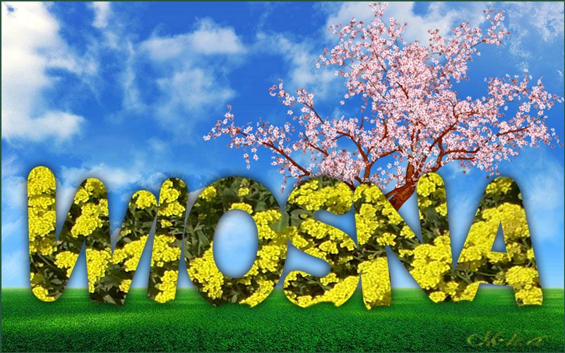  photo NR1_zps1c746c6f.jpg