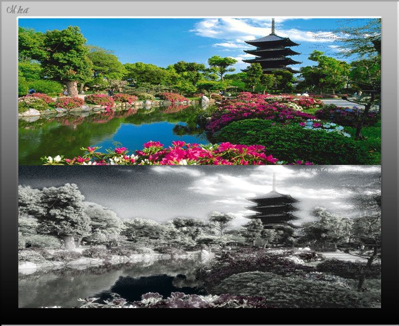  photo nr62_zpsca17d7e6.jpg