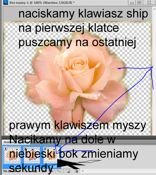  photo rzut10.png