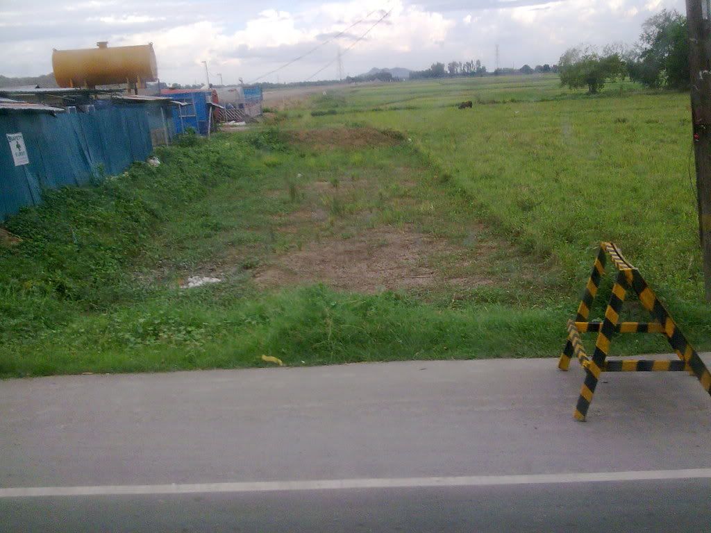 SCTEX TOO SCTEX TOO