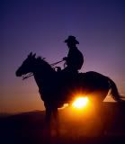 cowboy-10.jpg