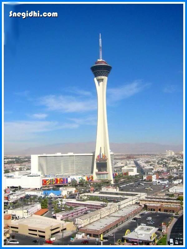 [ FFA ] Fun 4 All, Snegidhi Group, www.snegidhi.com