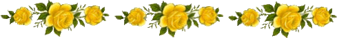 Yellow Rose Divider Pictures, Images and Photos